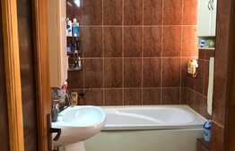 Duplex cu 2 unitati locative si 500 mp de teren, in zona Muzeul Apei!