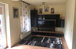 Duplex cu 2 unitati locative si 500 mp de teren, in zona Muzeul Apei!