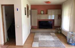 Duplex cu 2 unitati locative si 500 mp de teren, in zona Muzeul Apei!