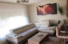 Duplex cu 2 unitati locative si 500 mp de teren, in zona Muzeul Apei!