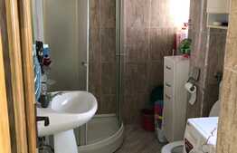 Duplex cu 2 unitati locative si 500 mp de teren, in zona Muzeul Apei!