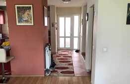 Duplex cu 2 unitati locative si 500 mp de teren, in zona Muzeul Apei!