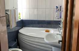 Duplex cu 2 unitati locative si 500 mp de teren, in zona Muzeul Apei!