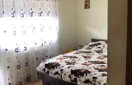 Duplex cu 2 unitati locative si 500 mp de teren, in zona Muzeul Apei!