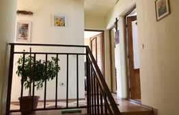 Duplex cu 2 unitati locative si 500 mp de teren, in zona Muzeul Apei!