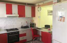 Duplex cu 2 unitati locative si 500 mp de teren, in zona Muzeul Apei!