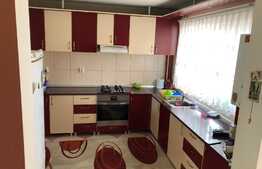 Duplex cu 2 unitati locative si 500 mp de teren, in zona Muzeul Apei!