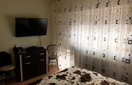 Duplex cu 2 unitati locative si 500 mp de teren, in zona Muzeul Apei!