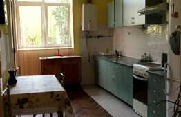 Vrei apartament 1 camera cu suprafata generoasa si gradina in zona centrala?