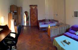 Vrei apartament 1 camera cu suprafata generoasa si gradina in zona centrala?