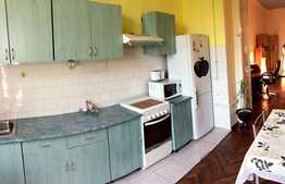 Vrei apartament 1 camera cu suprafata generoasa si gradina in zona centrala?