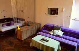 Vrei apartament 1 camera cu suprafata generoasa si gradina in zona centrala?