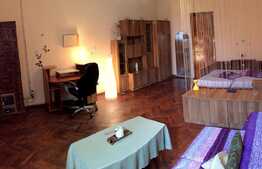 Vrei apartament 1 camera cu suprafata generoasa si gradina in zona centrala?