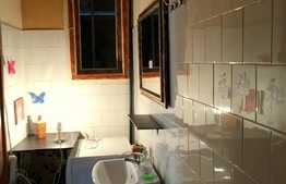 Vrei apartament 1 camera cu suprafata generoasa si gradina in zona centrala?