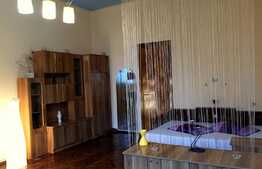 Vrei apartament 1 camera cu suprafata generoasa si gradina in zona centrala?