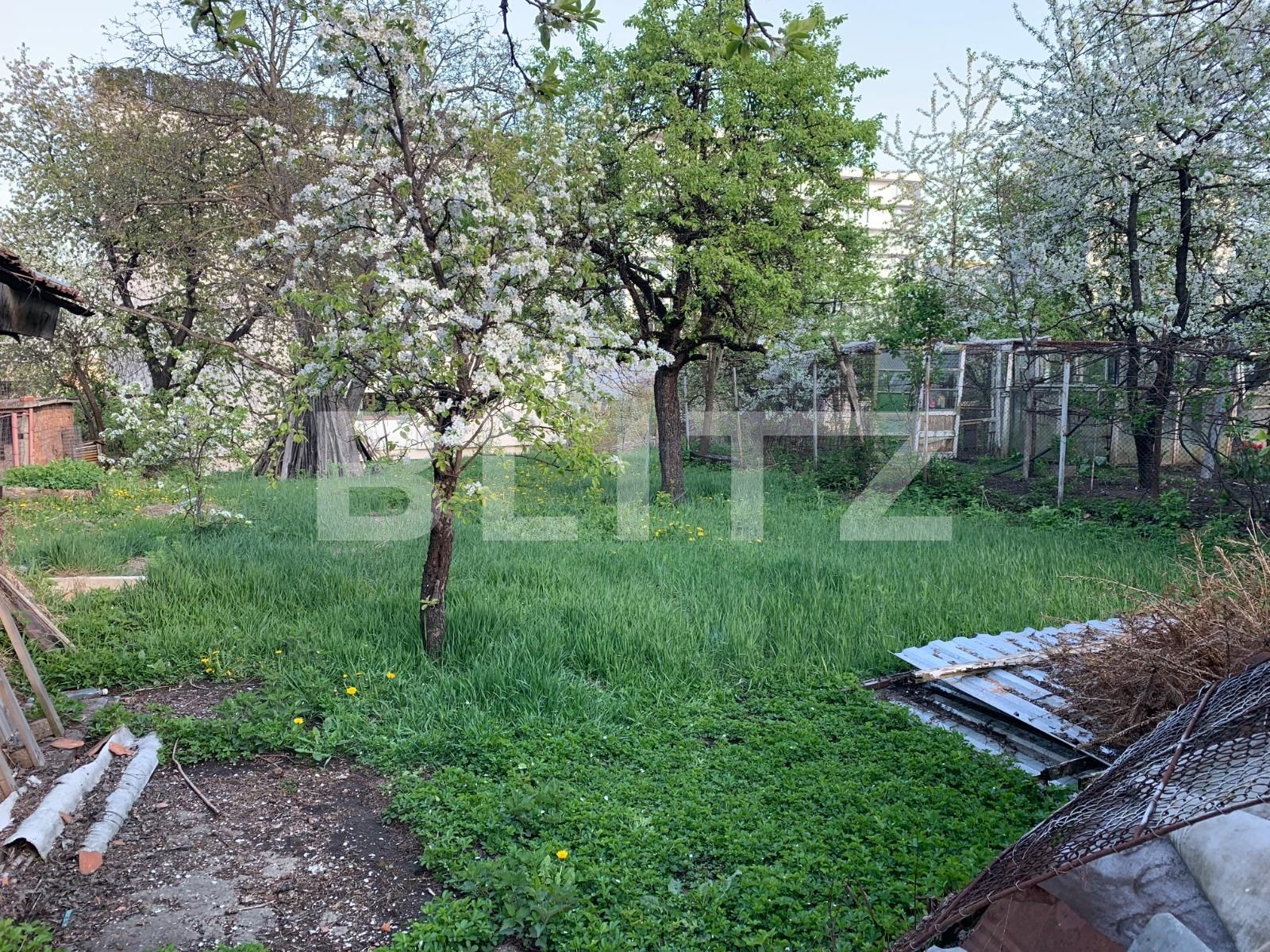 Casa de vânzare 2 camere Zorilor - 37485CV | BLITZ Cluj-Napoca | Poza7