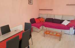 Apartament modern, PET FRIENDLY, 52 mp, zona Terra !