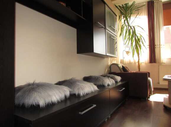 Garsonieră de închiriat Baciu - 37489AI | BLITZ Cluj-Napoca | Poza5