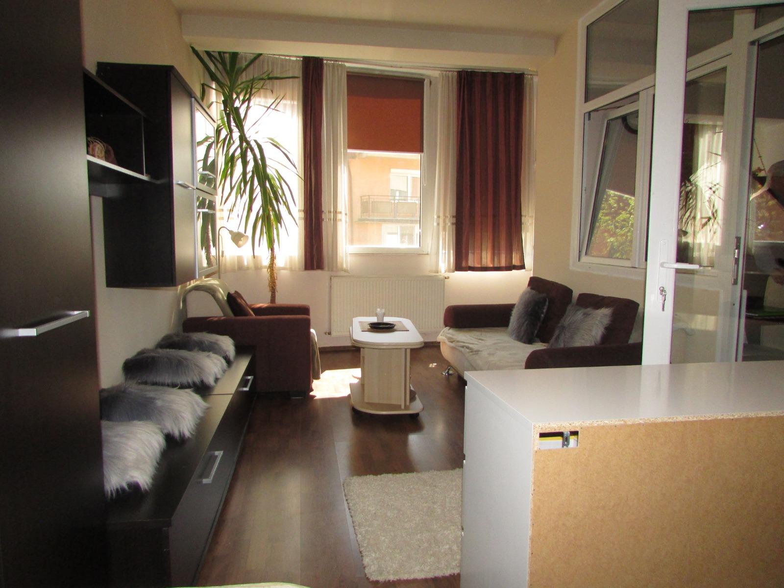 Garsonieră de închiriat Baciu - 37489AI | BLITZ Cluj-Napoca | Poza2