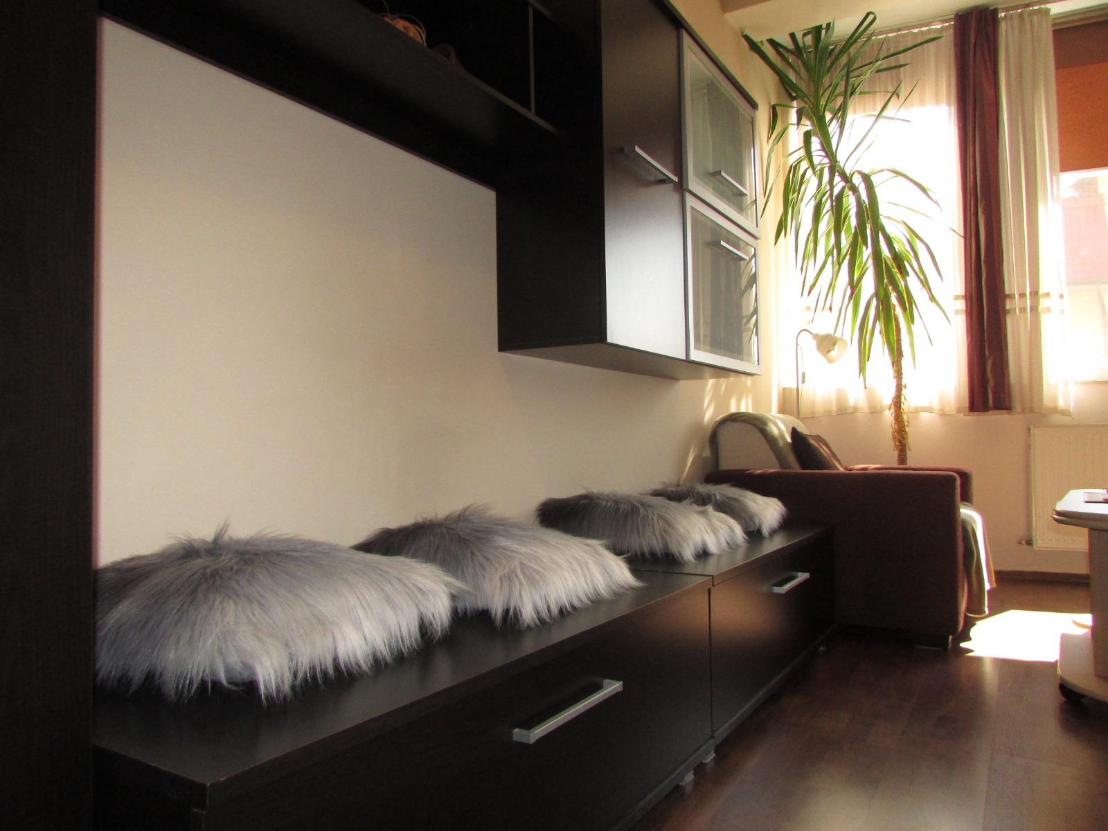 Garsonieră de închiriat Baciu - 37489AI | BLITZ Cluj-Napoca | Poza5