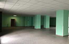 Spatiul ideal pentru afacerea ta! 305 mp, zona Flora!