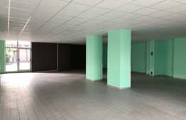 Spatiul ideal pentru afacerea ta! 305 mp, zona Flora!