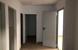 Investitia perfecta! Spatiu comercial, 305 mp, zona Flora!