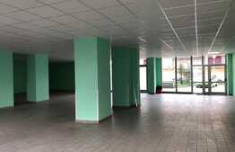 Investitia perfecta! Spatiu comercial, 305 mp, zona Flora!