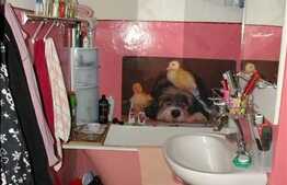 Apartament 2 camere decomandat cu priveliste !