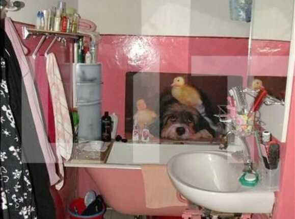 Apartament de vânzare 2 camere Gheorgheni - 3752AV | BLITZ Cluj-Napoca | Poza6