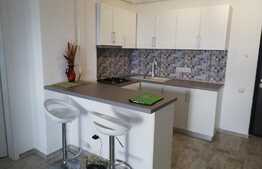 Apartament 3 camere, 63 mp, imobil nou, garaj, terasa 30 mp, mobilat lux, zona strazii Aurel Vlaicu