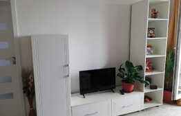 Apartament 3 camere, 63 mp, imobil nou, garaj, terasa 30 mp, mobilat lux, zona strazii Aurel Vlaicu