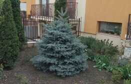  Duplex, 180 mp, 150 mp teren, constructie noua!