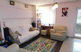 Apartament cu 3 camere plus sala hobby si garaj!