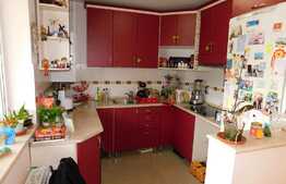 Apartament cu 3 camere plus sala hobby si garaj!
