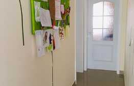 Apartament cu 3 camere plus sala hobby si garaj!