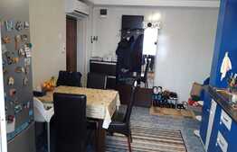 Apartament 2 camere, 48 mp, decomandat, zona strazii Dunarii