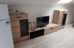 Apartament 2 camere, 59mp, PET FRIENDLY, zona strazii Florilor!