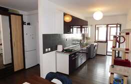 Spatiu si confort, balcon inchis, parcare, zona Sub Cetate