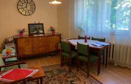 Daca nu vrei sa ai spatii mici atunci nu mai astepta, ai gasit oferta potrivita pentru tine. Apartament 4 camere, 81 mp, zona strazii Primaverii