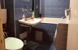 Oferta avantajoasa! Garsoniera 28 mp, zona BIG!