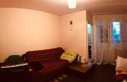 Oferta avantajoasa! Garsoniera 28 mp, zona BIG!