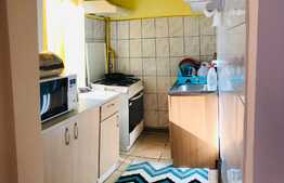 Apartament 1 camera, renovat si finisat, 27 mp, zona Aleea Negoiu!