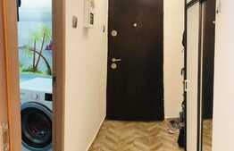 Apartament 1 camera, renovat si finisat, 27 mp, zona Aleea Negoiu!