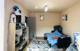Apartament 1 camera, renovat si finisat, 27 mp, zona Aleea Negoiu!