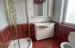 Apartament 2 camere, 80 mp, loc de parcare, Piata Cipariu!