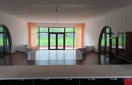 De vanzare casa individuala 259 mp, teren 1500 mp, finisata, la cheie, Exterior Est!