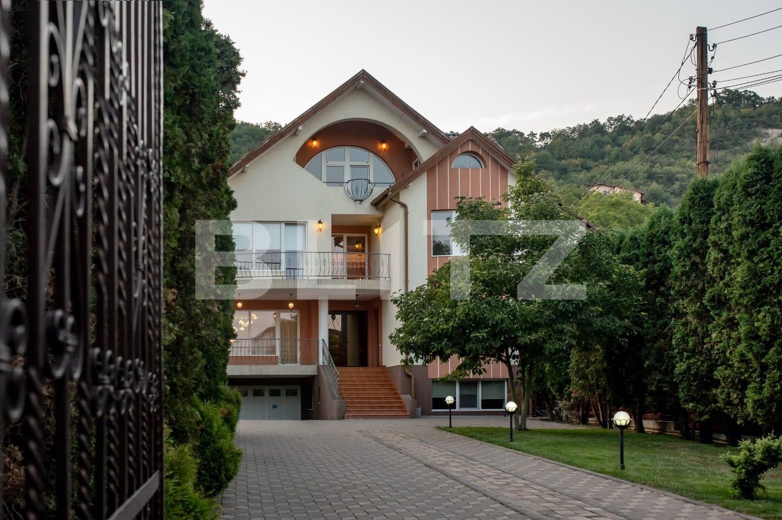 Casa de vânzare 14 camere Grigorescu - 37684CV | BLITZ Cluj-Napoca | Poza8