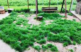 2 camere, 64 mp, logie 5 mp, parcare, gradina 60 mp, zona Stadionului