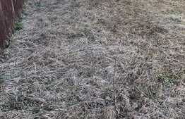 Casa cuplata de vanzare, 120 mp, 4 camere, teren 300 mp, Zona Florilor 